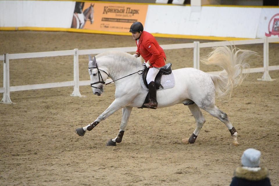 Armen Aghajanyan: Horses have always attracted me in any form