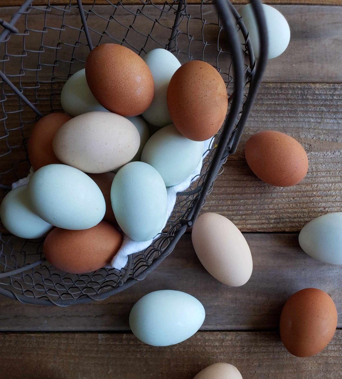 Millises vanuses ja millal hakkavad kanad munema – kanamunade tunnused