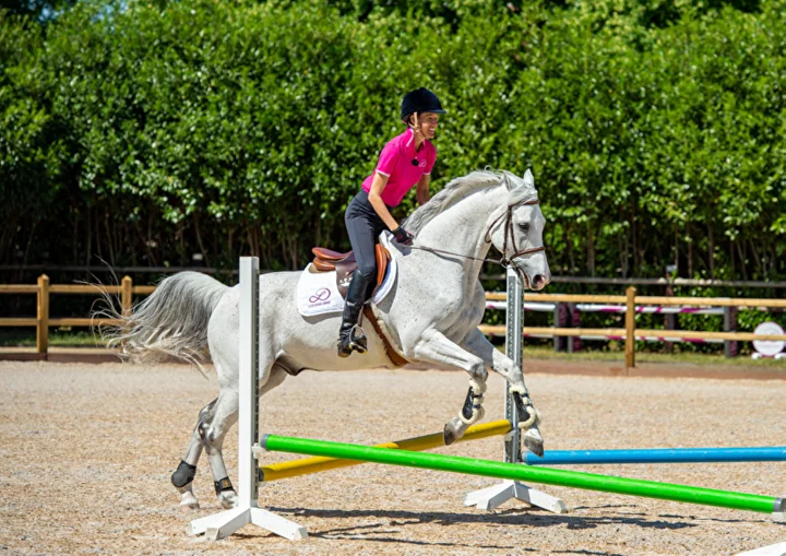 Balance exercises from the world&#8217;s top 5 rider Luciana Diniz