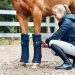 5 simple tips for choosing iron for your horse