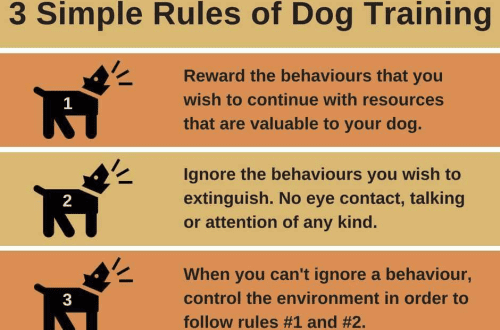 Osnovna pravila za Vaše štene