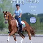 Basic training for a young horse