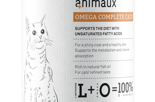 Benefits of Omega-3 and Omega-6 Fatty Acids for Kittens