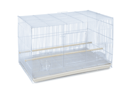 Best Triol bird cages in 2021