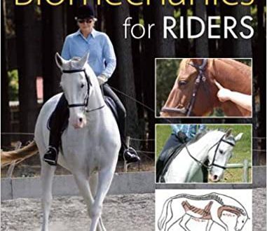 Biomechanics of the rider &#8211; the key that opens the horse