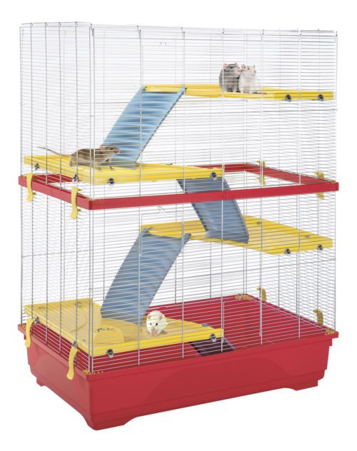Cage for rats: rules for choosing and arranging (photo)