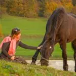 Calming a Nervous Horse (Another Approach)