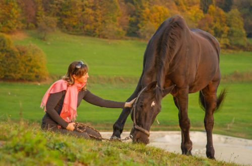 Calming a Nervous Horse (Another Approach)