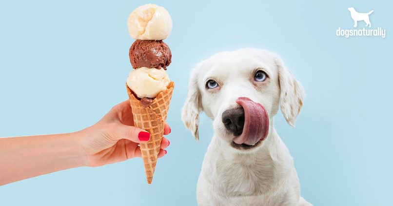 Can a dog have ice cream