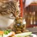 Tuna for cats: harm and benefit