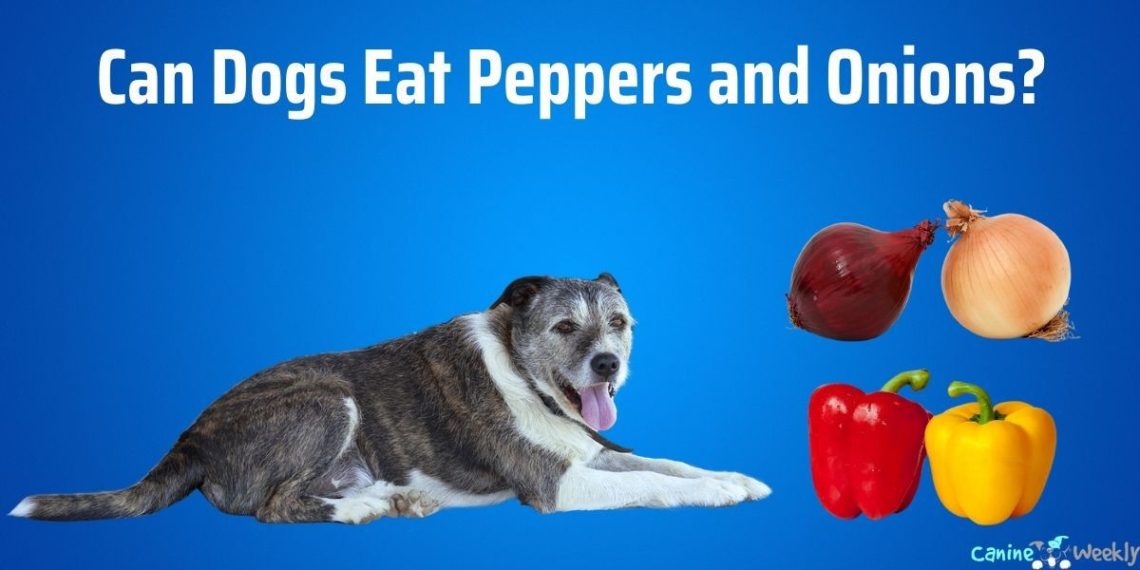 Can dogs eat spicy things like onions, garlic and peppers?