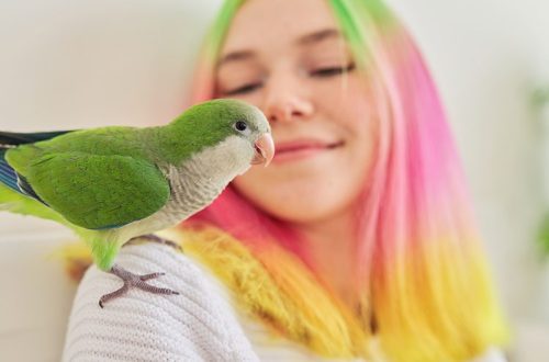 Can parrot food be mixed?