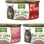 Canned Cat Food Review