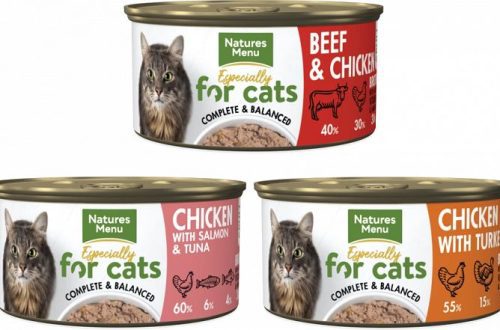 Canned Cat Food Review