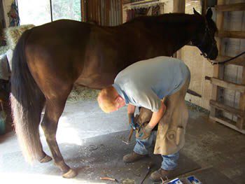 Carefully! Next to the horse!