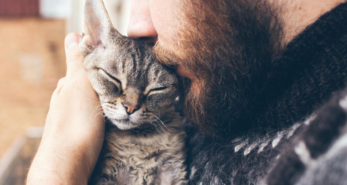 Caring for your kitten&#8217;s well-being