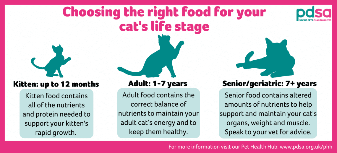 Cats need proper nutrition to stay healthy