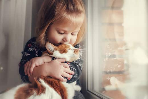 Cats that get along well with children: do they exist?