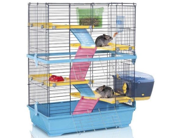 Choosing a cage (showcase) for a chinchilla - dimensions, materials, cost