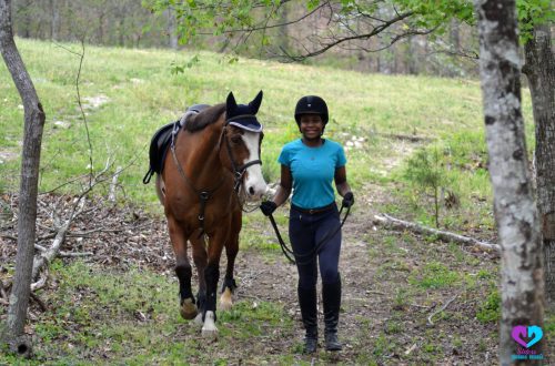 Choosing a club for training: what does a beginner rider need to know?