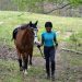 Training trot: feeling or skill?