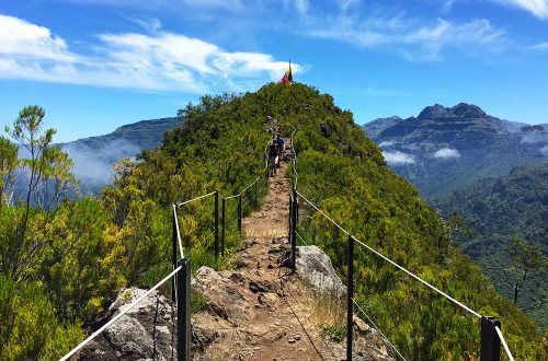 Choosing a fence for levada