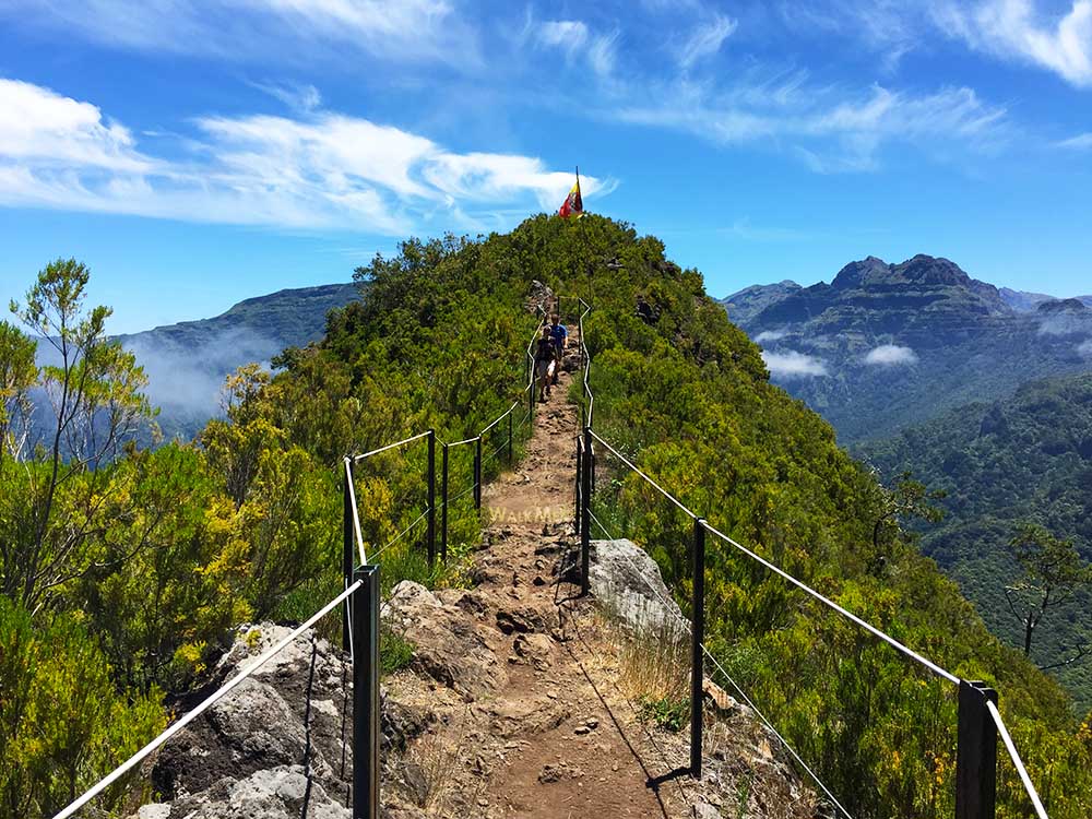 Choosing a fence for levada