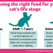 Կարո՞ղ են կատուները ձու ուտել: