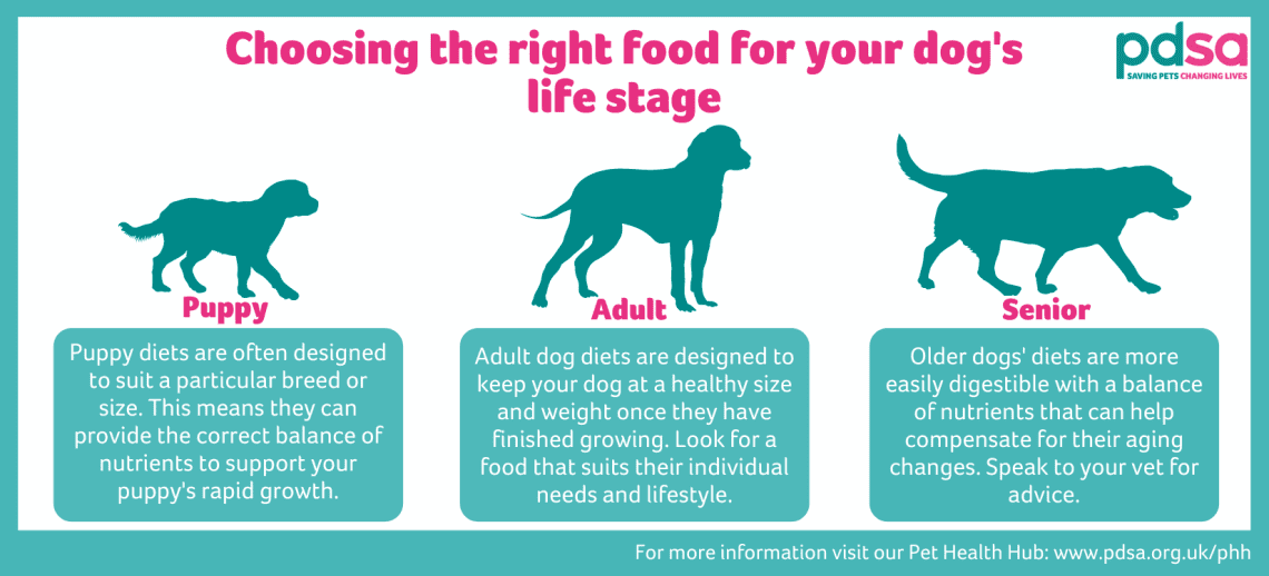 Choosing the right food for your adult dog