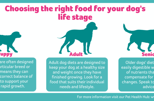Choosing the right food for your adult dog