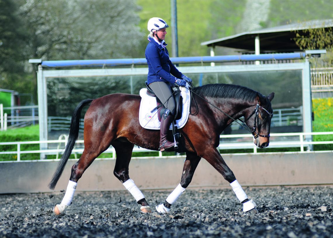 Christoph Hess on the importance of stretching for the horse