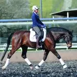 Christoph Hess on the importance of stretching for the horse