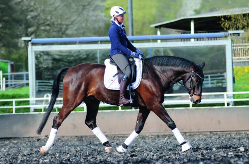 Christoph Hess on the importance of stretching for the horse