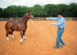 Clinton Anderson - Earn your horses respect