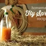 Cooking “homemade” fly spray!