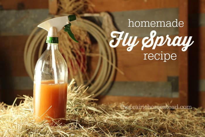 Cooking &#8220;homemade&#8221; fly spray!