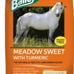 Curcumin for Horses – Arthritis and More!