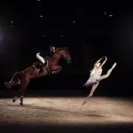 Dancing horses? Biomechanics of equestrian ballet…
