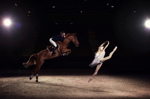 Dancing horses? Biomechanics of equestrian ballet&#8230;