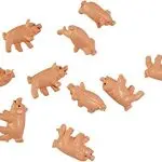 Decorative piglets: types of small pigs, their care and how to choose