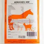 Description of keproceril: indications for use and description of this drug