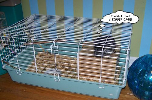 DIY chinchilla cage &#8211; step by step instructions with drawings and photos