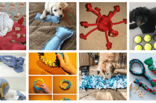 DIY koera mänguasjad