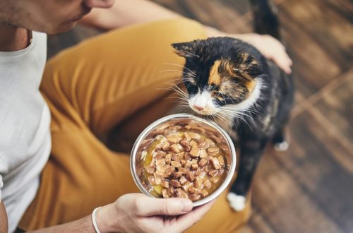 Do all cats need treats?