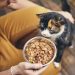 What you need to know about the composition of treats for cats and dogs