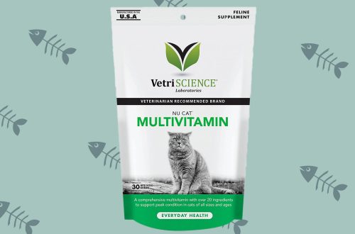 Do cats need extra vitamins?