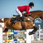 Do horses like to jump over obstacles?