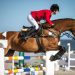 Tips for choosing a trainer in equestrian sports