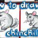 Chinchilla feeder and sennitsa &#8211; choice and DIY creation