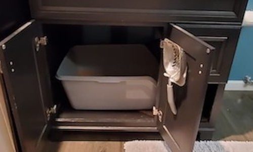 Do-it-yourself closed toilet for a cat: how to hide the tray